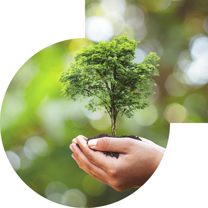 關懷人類、文化、環境與社會